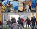 ZOMBIE APOCALYPSE